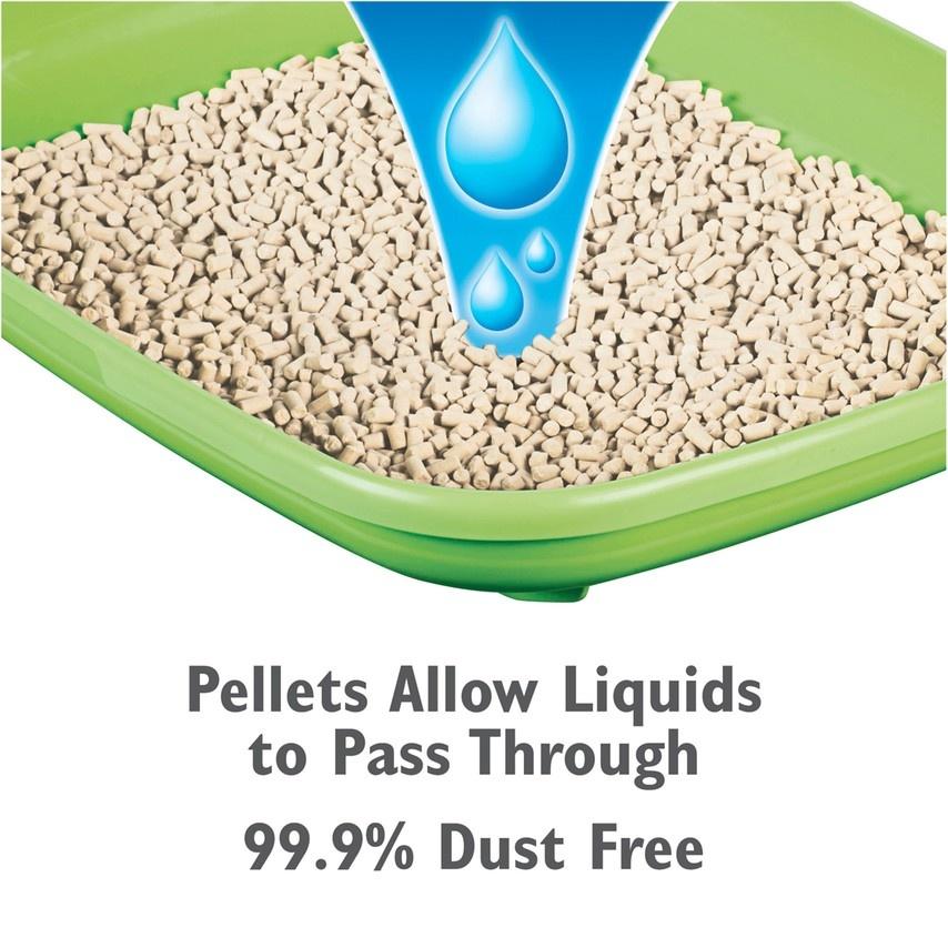 Tidy Cat Breeze Cat Litter Pellets - East Longmeadow, MA