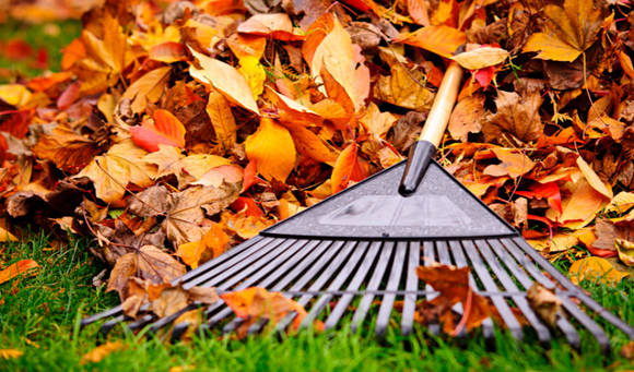 Caring For Your Lawn In The Fall