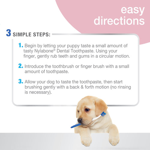 Nylabone Advanced Oral Care Puppy Dental Kit (3-Piece Kit)
