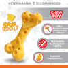 Nylabone Power Chew Cheese Dog Toy (Medium)