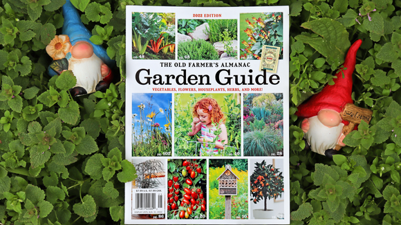 Old Farmer's Almanac 2022 Garden Guide