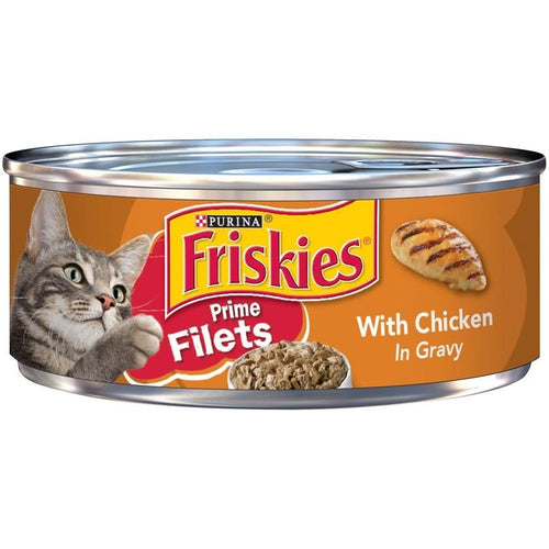 Can dogs eat friskies wet cat food best sale