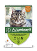 Bayer Advantage II Small Cat