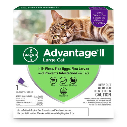 Bayer Advantage II Large Cat