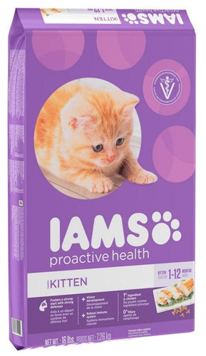 Iams proactive health dry kitten food best sale