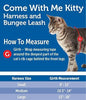 PetSafe Come with Me Kitty Black & Silver Harness and Bungee Leash for Cats