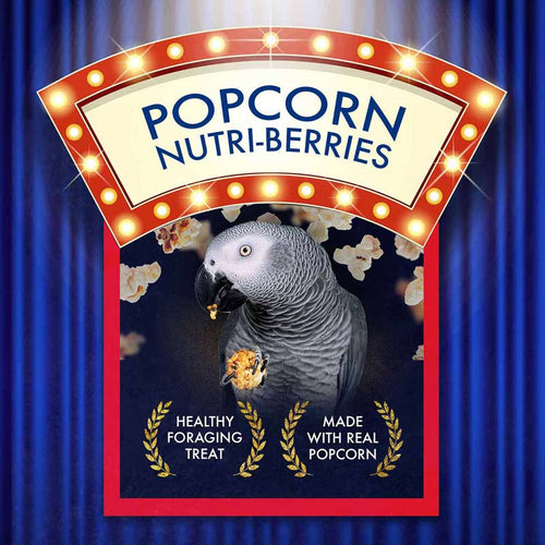 Lafeber Company Parrot Popcorn Nutri-Berrie Treats