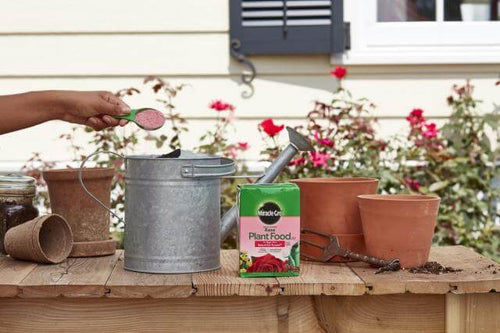 Miracle-Gro® Water Soluble Rose Plant Food (1.5 lbs)