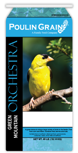 Poulin Grain Green Mountain Orchestra