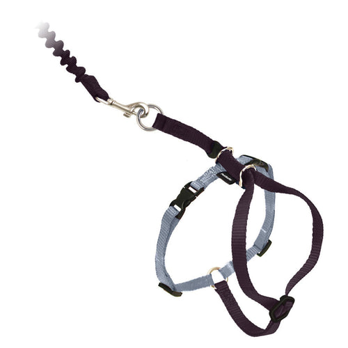 Come With Me Kitty™ Black Cat Harness & Bungee Leash (Medium)