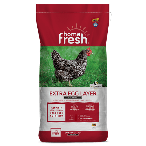 Kent Blue Seal Home Fresh Extra Egg Layer Crumble