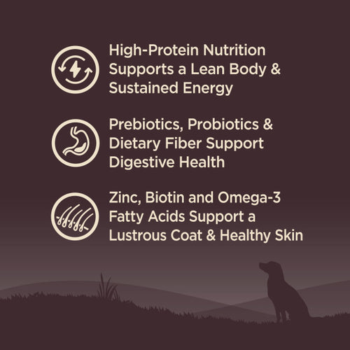 Wellness CORE Wholesome Grains Ocean Whitefish Dog Food