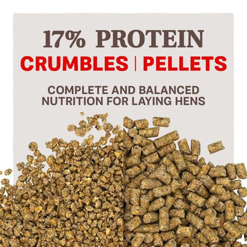 Kent Blue Seal Home Fresh Extra Egg Layer Pellet