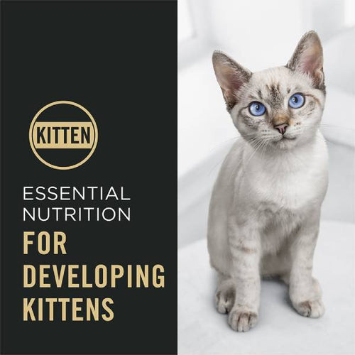 Purina Pro Plan Kitten Complete Essentials Chicken & Rice Formula Dry Cat Food